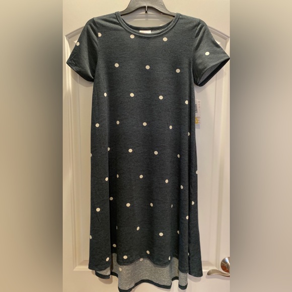 Lularoe Carly Swing Dress - Picture 1 of 4